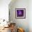 Iris Abstract-Anna Miller-Framed Photographic Print displayed on a wall