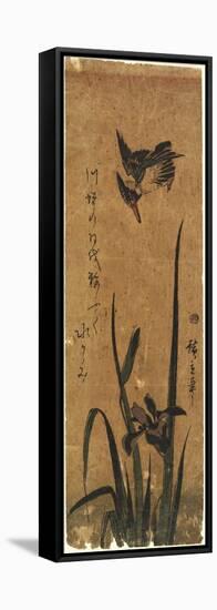 Iris and Kingfisher, 1830-1858-Utagawa Hiroshige-Framed Premier Image Canvas