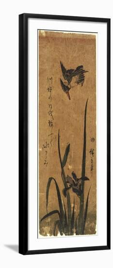 Iris and Kingfisher, 1830-1858-Utagawa Hiroshige-Framed Giclee Print