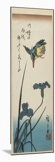 Iris and Kingfisher, 1843-1847-Utagawa Hiroshige-Mounted Giclee Print