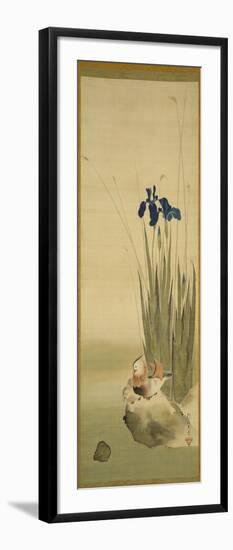 Iris and Mandarin Ducks (Ink & Colour on Silk)-Sakai Hoitsu-Framed Giclee Print