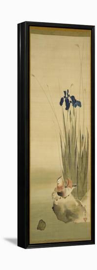 Iris and Mandarin Ducks (Ink & Colour on Silk)-Sakai Hoitsu-Framed Premier Image Canvas