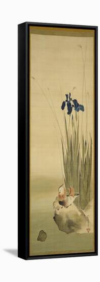 Iris and Mandarin Ducks (Ink & Colour on Silk)-Sakai Hoitsu-Framed Premier Image Canvas