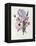 Iris, Anemone and Geranium-Pierre-Joseph Redouté-Framed Premier Image Canvas