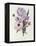 Iris, Anemone and Geranium-Pierre-Joseph Redouté-Framed Premier Image Canvas