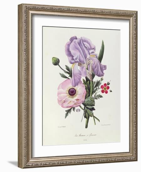 Iris, Anemone and Geranium-Pierre-Joseph Redouté-Framed Giclee Print