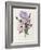 Iris, Anemone and Geranium-Pierre-Joseph Redouté-Framed Giclee Print