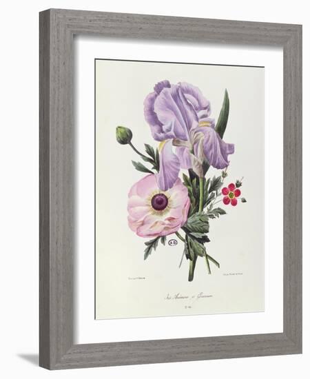 Iris, Anemone and Geranium-Pierre-Joseph Redouté-Framed Giclee Print