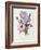 Iris, Anemone and Geranium-Pierre-Joseph Redouté-Framed Giclee Print