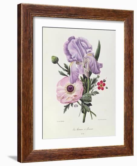 Iris, Anemone and Geranium-Pierre-Joseph Redouté-Framed Giclee Print