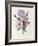 Iris, Anemone and Geranium-Pierre-Joseph Redouté-Framed Giclee Print