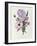 Iris, Anemone and Geranium-Pierre-Joseph Redouté-Framed Giclee Print