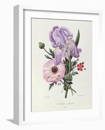 Iris, Anemone and Geranium-Pierre-Joseph Redouté-Framed Giclee Print