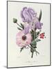 Iris, Anemone and Geranium-Pierre-Joseph Redouté-Mounted Giclee Print