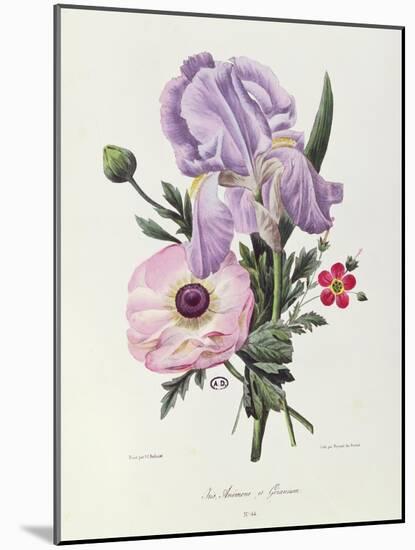 Iris, Anemone and Geranium-Pierre-Joseph Redouté-Mounted Giclee Print