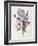 Iris, Anemone and Geranium-Pierre-Joseph Redouté-Framed Giclee Print