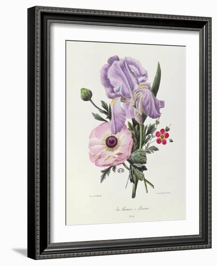 Iris, Anemone and Geranium-Pierre-Joseph Redouté-Framed Giclee Print