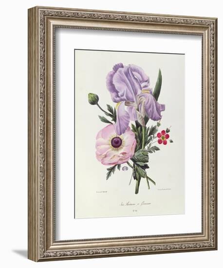 Iris, Anemone and Geranium-Pierre-Joseph Redouté-Framed Giclee Print