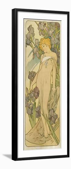 Iris, (Aus Der Serie Von Dekorationstafeln "Blumen), 1898-Alphonse Mucha-Framed Giclee Print