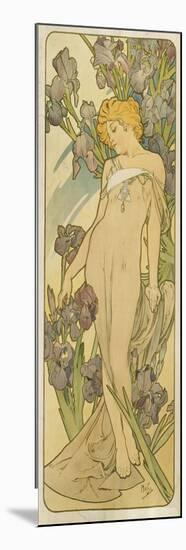 Iris, (Aus Der Serie Von Dekorationstafeln "Blumen), 1898-Alphonse Mucha-Mounted Giclee Print