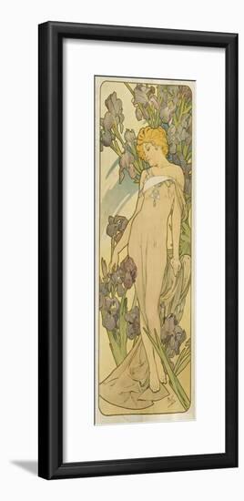 Iris, (Aus Der Serie Von Dekorationstafeln "Blumen), 1898-Alphonse Mucha-Framed Giclee Print