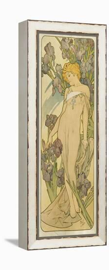 Iris, (Aus Der Serie Von Dekorationstafeln "Blumen), 1898-Alphonse Mucha-Framed Premier Image Canvas