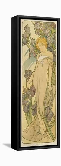 Iris, (Aus Der Serie Von Dekorationstafeln "Blumen), 1898-Alphonse Mucha-Framed Premier Image Canvas