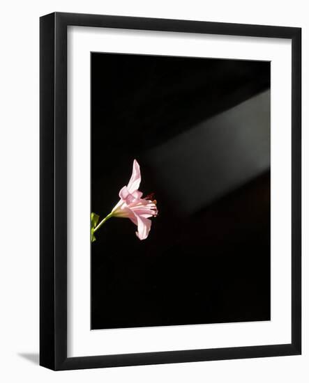 Iris Beams-Charles Bowman-Framed Photographic Print