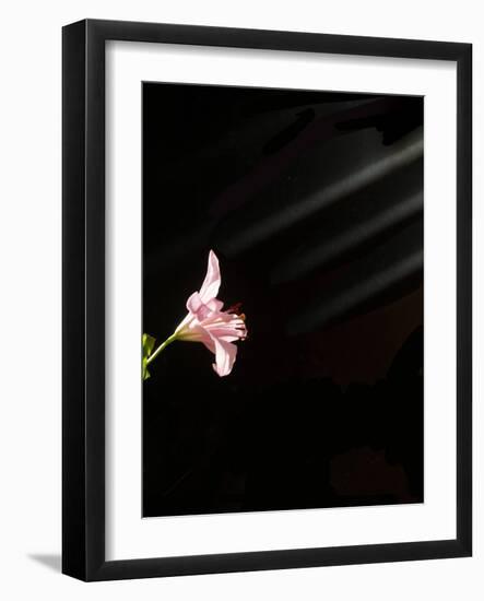 Iris Beams-Charles Bowman-Framed Photographic Print