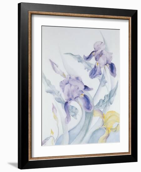 Iris, Blue Mare-Karen Armitage-Framed Giclee Print