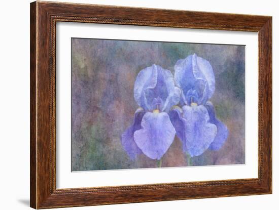 Iris Blue Rhythm-Cora Niele-Framed Photographic Print