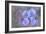 Iris Blue Rhythm-Cora Niele-Framed Photographic Print