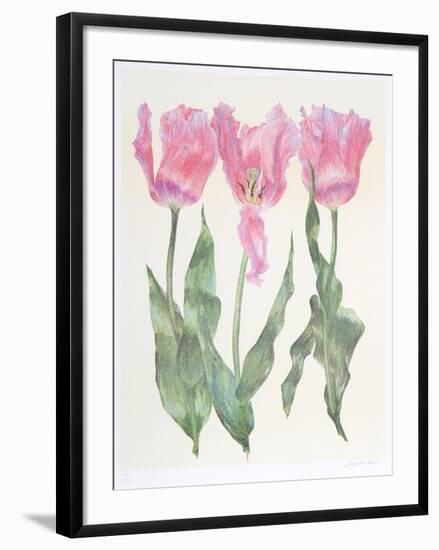 Iris Botanical-Carol Ann Bolt-Framed Limited Edition