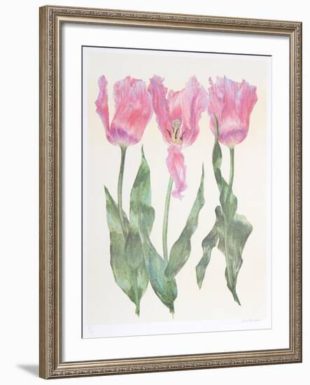 Iris Botanical-Carol Ann Bolt-Framed Limited Edition