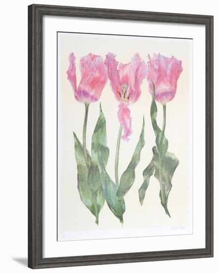 Iris Botanical-Carol Ann Bolt-Framed Limited Edition