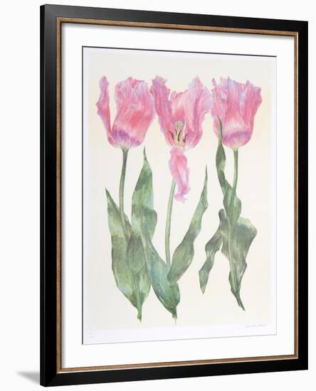 Iris Botanical-Carol Ann Bolt-Framed Limited Edition