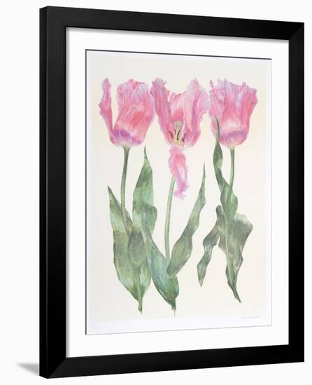 Iris Botanical-Carol Ann Bolt-Framed Limited Edition