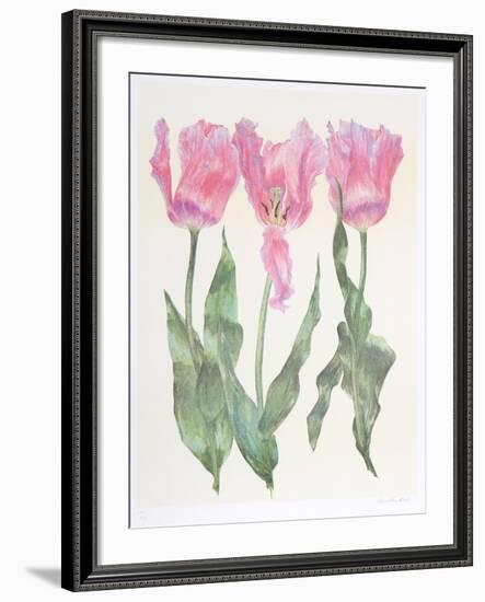 Iris Botanical-Carol Ann Bolt-Framed Limited Edition