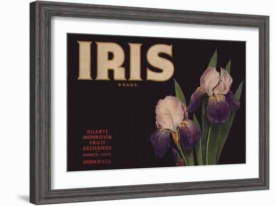 Iris Brand - Duarte, California - Citrus Crate Label-Lantern Press-Framed Art Print