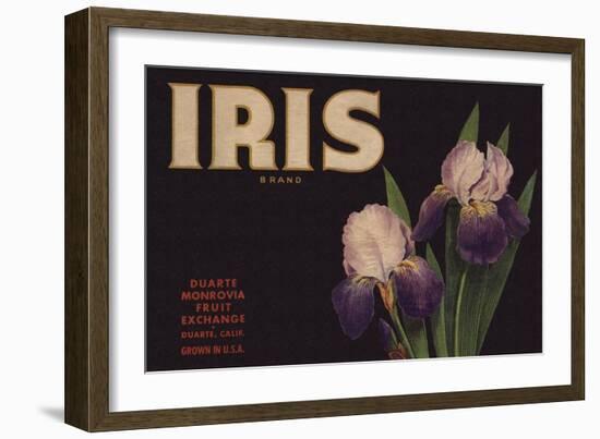 Iris Brand - Duarte, California - Citrus Crate Label-Lantern Press-Framed Art Print