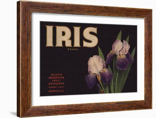 Iris Brand - Duarte, California - Citrus Crate Label-Lantern Press-Framed Art Print