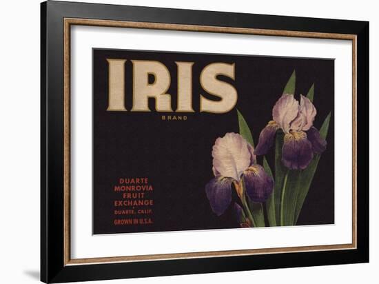 Iris Brand - Duarte, California - Citrus Crate Label-Lantern Press-Framed Art Print