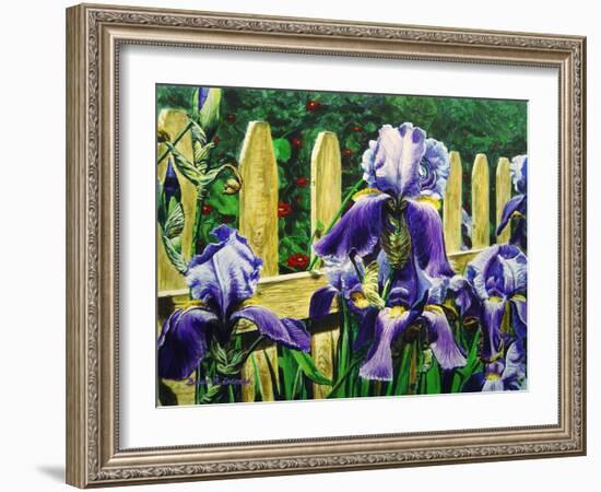 Iris' by the Fence-Bruce Dumas-Framed Giclee Print