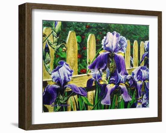 Iris' by the Fence-Bruce Dumas-Framed Giclee Print