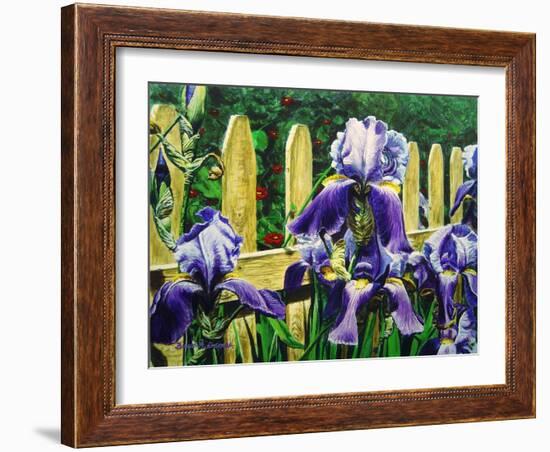 Iris' by the Fence-Bruce Dumas-Framed Giclee Print