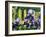 Iris' by the Fence-Bruce Dumas-Framed Giclee Print