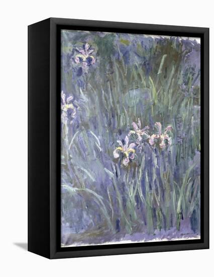 Iris, C.1914-1917-Claude Monet-Framed Premier Image Canvas