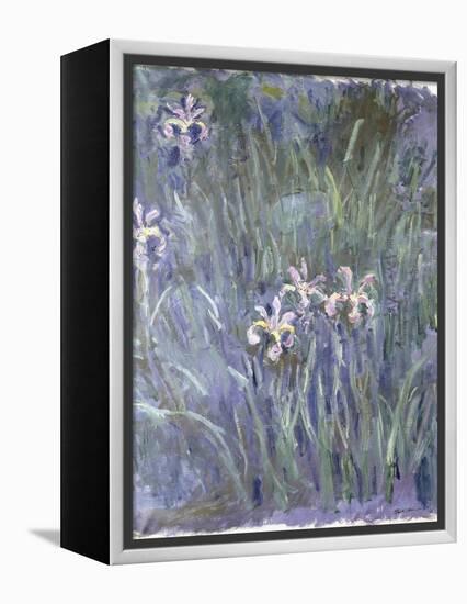 Iris, C.1914-1917-Claude Monet-Framed Premier Image Canvas