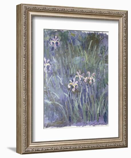 Iris, C.1914-1917-Claude Monet-Framed Giclee Print