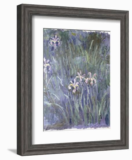 Iris, C.1914-1917-Claude Monet-Framed Giclee Print